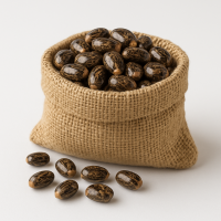 Castor seeds