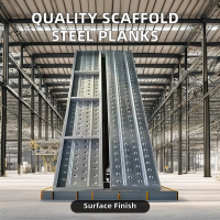 Factory Direct Best Price Quality Galvanized Scaffold Steel Planks Cat Walk for Ladder &amp; Scaffolding