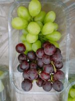 fresh grapes