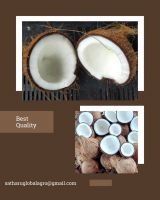 SEMI HUSKED COCONUT