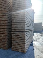 Siberian larch, Angara pine, plywood