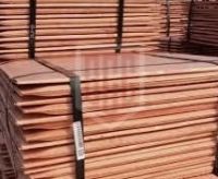 Copper cathode