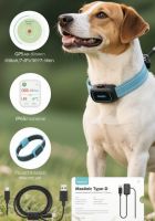LoveLeash