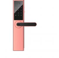 smart door lock