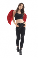 Apparel and Clothing