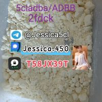 5F-ADB ADBB 5cladb precursor A-PVP 5cl rwa materials Shipping Yellow powder.pdf