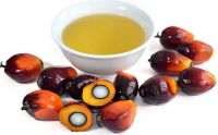 Premium Quality Palm Olein Oil for Cooking & Frying - Wholesale Price