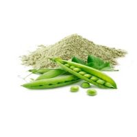 High-Quality Pea Protein Isolate 80% | Non-GMO & Gluten-Free