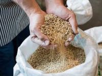 Premium Sesame Protein Powder Ã¢Ã¢?Â¬Ã¢?? Plant-Based & High Purity