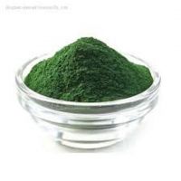 Premium Bulk Algae Protein Supplier | Organic & Sustainable Protein Source on TradeKey