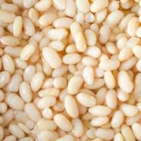 Grade A Baby Lima Beans Ã¢ï¿½ï¿½ Organic & Conventional Bulk Supplier