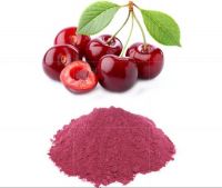 00% Pure Tart Cherry Extract Powder Natural Montmorency Cherry Concentrate