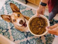 Premium Grain-Free Dog Food Base Mix Healthy & Natural Ingredients