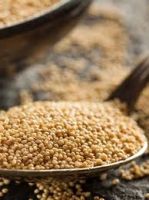 Grade A Organic Amaranth Flour Ã¢ï¿½ï¿½ Gluten-Free, High Protein, Bulk Supply