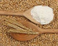 Premium Grade Spring Wheat Flour Ã¢ï¿½ï¿½ High Gluten, OEM Labeling Available