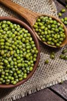 Grade A Green Mung Beans Ã¢ï¿½ï¿½ Cleaned & Polished Ã¢ï¿½ï¿½ Bulk Supply Available