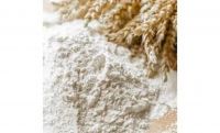 Premium Durum Wheat Semolina Ã¢ï¿½ï¿½ Grade A Quality for Pasta & Bakery