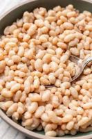 Grade A Navy Beans Ã¢ï¿½ï¿½ Dried, Polished, and Export Ready in Bulk