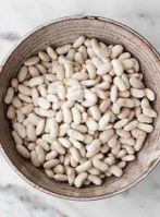 Grade A Export Quality White Beans Ã¢ï¿½ï¿½ Cleaned, Polished, Non-GMO