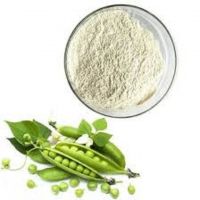 Grade A Food Grade Pea Starch Ã¢ï¿½ï¿½ Bulk Supply with OEM Packaging