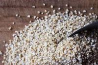 Organic Calf Starter Feed Ã¢ï¿½ï¿½ Premium Quality, Bulk Supply & OEM Packaging