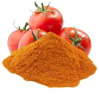 High Quality Natural Tomato Fiber for Food Processing