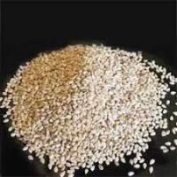 Bulk Export of White Sesame Seeds Ã¢ï¿½ï¿½ 50kg PP Bags, Global Shipping