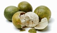 Organic Monk Fruit Syrup for Food & Beverage Industries