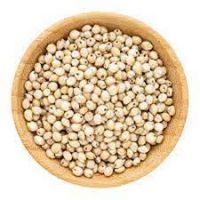 Premium White Sorghum Grain Ã¢ï¿½ï¿½ Cleaned, Graded & Bulk Supply