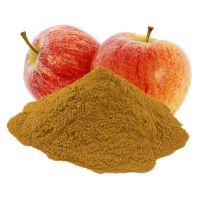 Premium Quality Apple Pomace Fiber Powder for Food & Beverage Industry