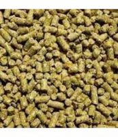 WFM Organic Layer 3807 Ã¢ï¿½ï¿½ High Stability Refined Organic Frying Oil, Bulk & OEM
