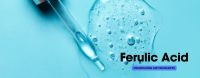 Advanced Antioxidant Serum with 15% Vitamin C, 1% Vitamin E & 0.5% Ferulic Acid Ã¢ï¿½ï¿½ Brightens & Firms Skin