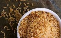 Hard Red Winter Wheat Ã¢ï¿½ï¿½ Grade A, High Protein, Bulk Export with OEM Packaging