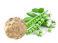 Organic Pea Milk Powder Ã¢ï¿½ï¿½ Plant-Based Dairy Alternative, Halal, Non-GMO