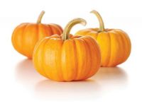 Premium Pumpkin Protein Concentrate Natural Plant-Based Protein Powder