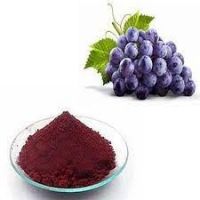 Premium Grape Skin Fiber Ã¢ï¿½ï¿½ Natural Antioxidant & Dietary Fiber