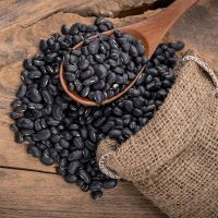 High-Quality Black Bean Protein Powder for Food & Beverage Industry