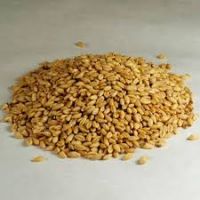 Premium Organic Wheat Berries Ã¢ï¿½ï¿½ USDA & EU Certified Ã¢ï¿½ï¿½ Bulk Supply