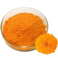 Bulk Lutein Powder 5% - 20% from Marigold Petals for Eye Health Supplements