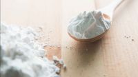 Premium Quality Natural Sago Starch for Food & Industrial Use