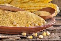 High Quality Malt Extract Powder Ã¢ï¿½ï¿½ Food & Pharmaceutical Grade