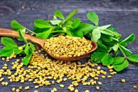Organic Fenugreek Seeds for Food & Pharma Ã¢ï¿½ï¿½ Exporter & OEM Supplier