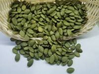 Premium GWS Pumpkin Seeds Ã¢ï¿½ï¿½ Grade A, Bulk Supply, OEM Available