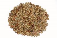 Premium Grade Horse Gram Ã¢ï¿½ï¿½ Bulk Export, OEM Packaging Available
