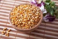 Premium Quality Bengal Gram (Chana) Ã¢ï¿½ï¿½ Cleaned, Dried & Export Ready