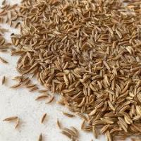 Premium Export Quality Caraway Seeds Ã¢ï¿½ï¿½ Cleaned, Sorted & Graded