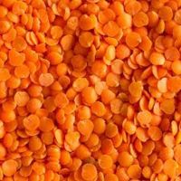 High Quality Masoor Dal (Red Lentils Split) Ã¢ï¿½ï¿½ Bulk Supply & OEM Packaging