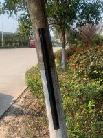 Clear U-Shape PVC Tube | Transparent Flexible Tubing for Decorative &amp;amp; Protective Use