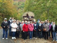 Explore the Best Bus Tours from Cincinnati, Ohio