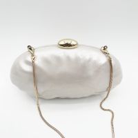 Cross-Border New Acrylic Evening Bag â Elegant Party Clutch for Women â Fashionable Shoulder & Crossbody Dinner Purse